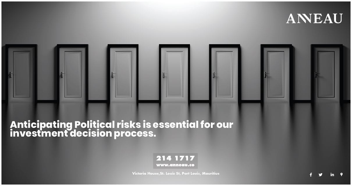 Political risk and investment decisions — ANNEAU historical artwork, 2019