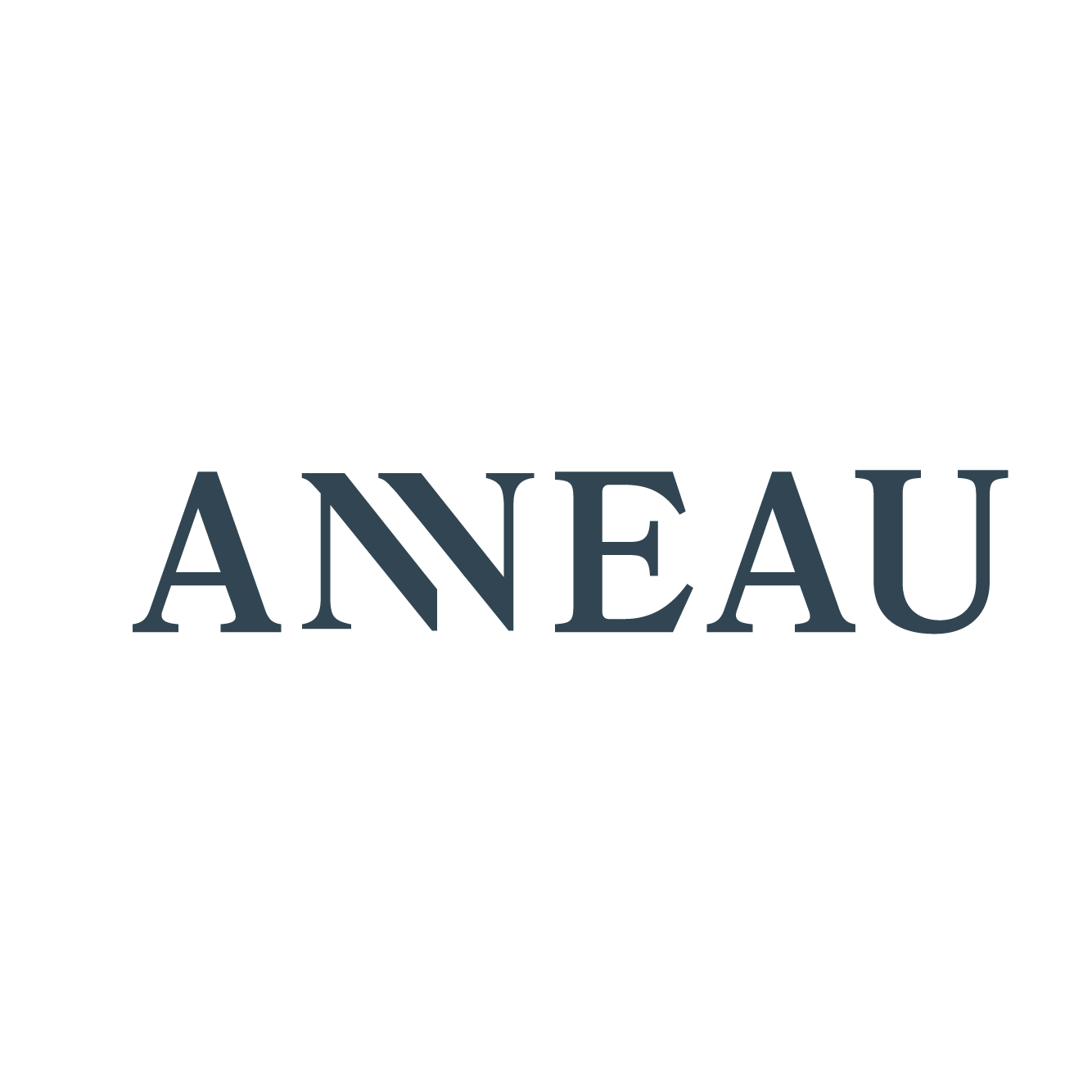 ANNEAU wordmark — ANNEAU historical artwork, 2022