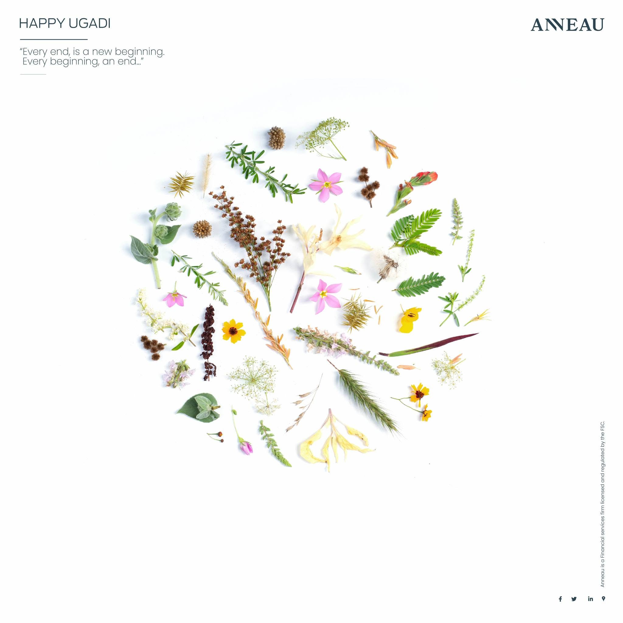 Ugadi — ANNEAU historical artwork, 2023